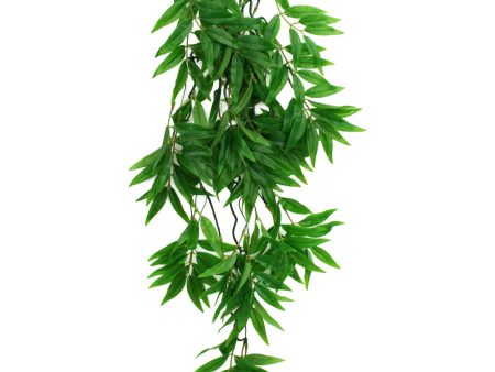 Komodo Bamboo Hanging Plant 1ea LG, 26 in Cheap