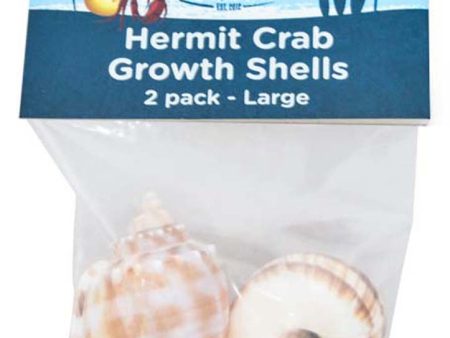 Fluker s Hermit Crab Growth Shells Assorted 1ea 2 pk, LG For Cheap