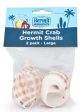 Fluker s Hermit Crab Growth Shells Assorted 1ea 2 pk, LG For Cheap