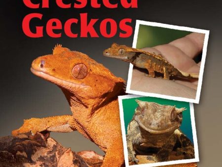 Zoo Med Proper Care and Maintenance of Crested Geckos Book 1ea Online