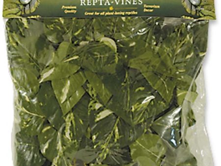 Fluker s Pothos Repta-Vines Green 1ea 6 ft Online now