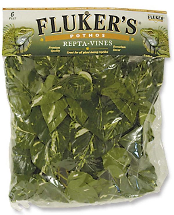 Fluker s Pothos Repta-Vines Green 1ea 6 ft Online now