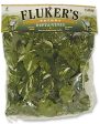 Fluker s Pothos Repta-Vines Green 1ea 6 ft Online now