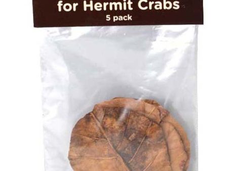 Fluker s Hermit Crab Catappa Leaves Brown 1ea 5 pk on Sale