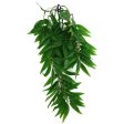 Komodo Bamboo Hanging Plant 1ea SM, 16 in on Sale