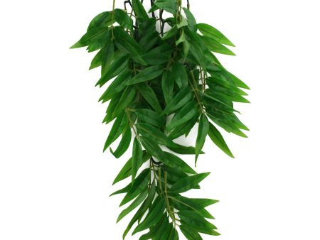 Komodo Bamboo Hanging Plant 1ea SM, 16 in on Sale