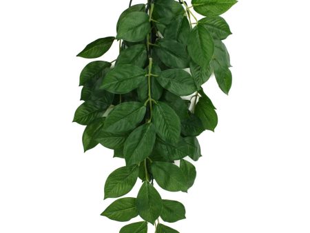 Komodo Green Leaf Hanging Plant 1ea SM, 16 in on Sale