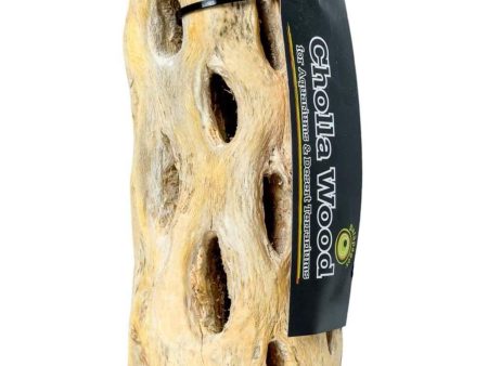 Galapagos Cactus Skeleton Cholla Wood Brown 1ea 36 in on Sale