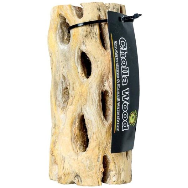 Galapagos Cactus Skeleton Cholla Wood Brown 1ea 36 in on Sale