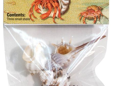 Zoo Med Hermit Crab Growth Shell Assorted 1ea SM, 3 pk Online Sale