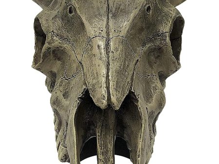 Komodo Deer Skull Reptile Hideout Gray 1ea One Size Discount