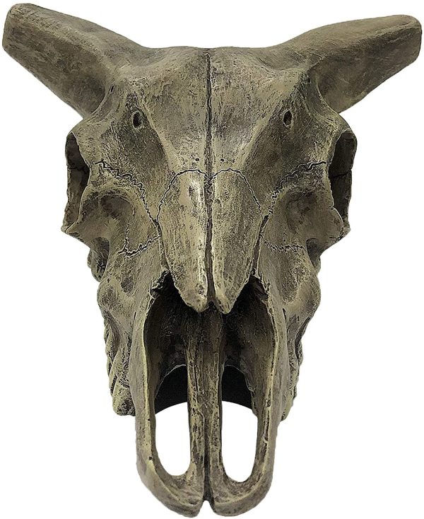 Komodo Deer Skull Reptile Hideout Gray 1ea One Size Discount