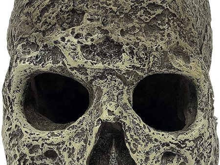 Komodo Textured Human Skull Reptile Hideout Gray 1ea One Size For Discount