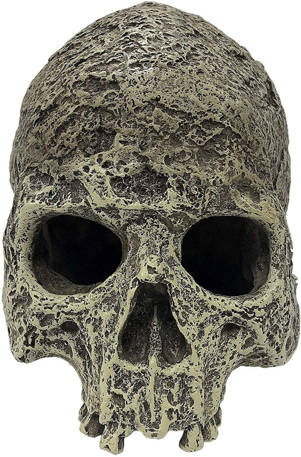 Komodo Textured Human Skull Reptile Hideout Gray 1ea One Size For Discount