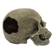 Komodo Half Human Skull Reptile Hideout Gray 1ea One Size Sale