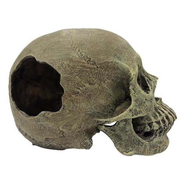 Komodo Half Human Skull Reptile Hideout Gray 1ea One Size Sale