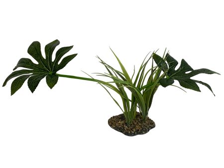 Komodo Jungle Canopy Plant 1ea 42 cm Online now