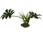 Komodo Jungle Canopy Plant 1ea 42 cm Online now