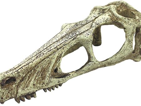 Komodo Raptor Skull Reptile Hideout Tan 1ea LG Hot on Sale