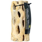 Galapagos Cactus Skeleton Cholla Wood Brown 1ea 36 in on Sale