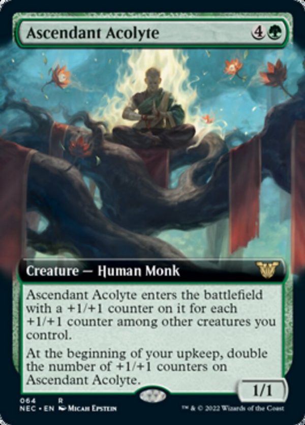 Ascendant Acolyte (Extended Art) [Kamigawa: Neon Dynasty Commander] Online