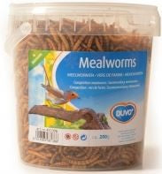 MEAL WORMS BUCKET 1L 200G Supply