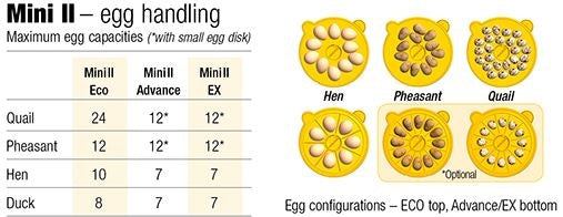 INCUBATOR MAXI 2 ECO Cheap