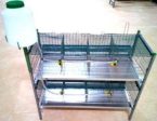 QUAIL CAGE 2 FLOORS For Discount