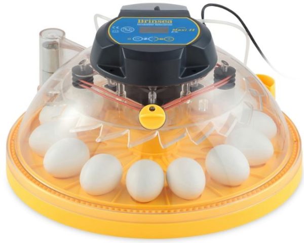 INCUBATOR MAXI 2 ADVANCED Supply