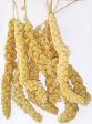 MILLET SPRAY 150GR For Sale