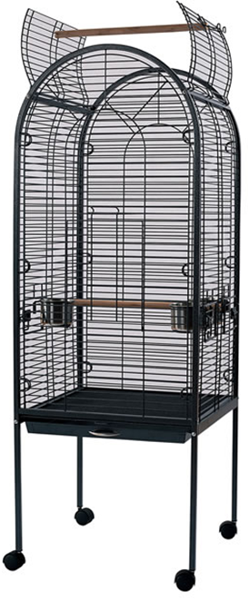 PARROT CAGE For Discount