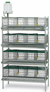 QUAIL CAGE 2 FLOORS For Discount