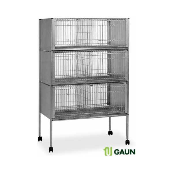 SHOW CAGE FOR CHICKEN on Sale